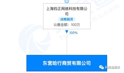 哈啰布局东营 从出行平台到生活服务综合体的战略跨越